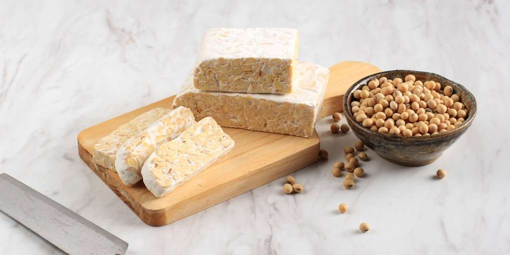 Tips Menyimpan Tempe di Kulkas Supaya Tetap Segar dan Tidak Busuk